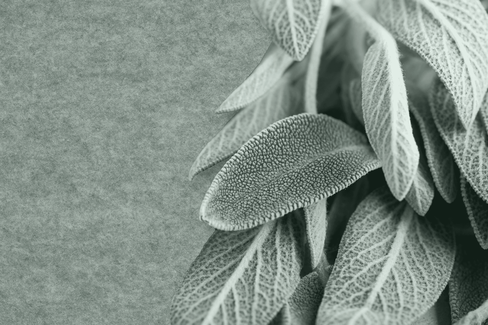 Kleur NL vilt Sage Green 20