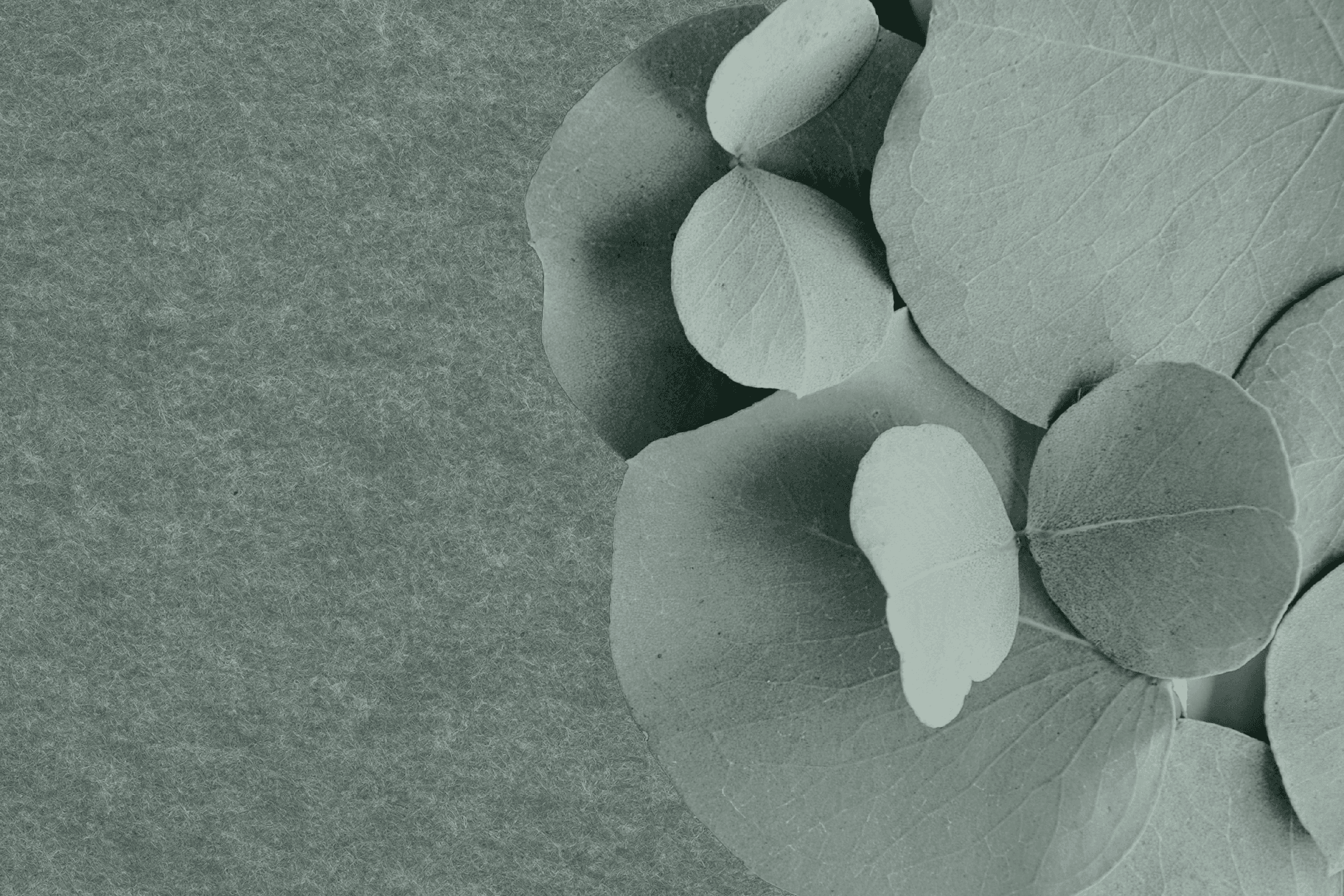 Kleur NL vilt Eucalyptus 33