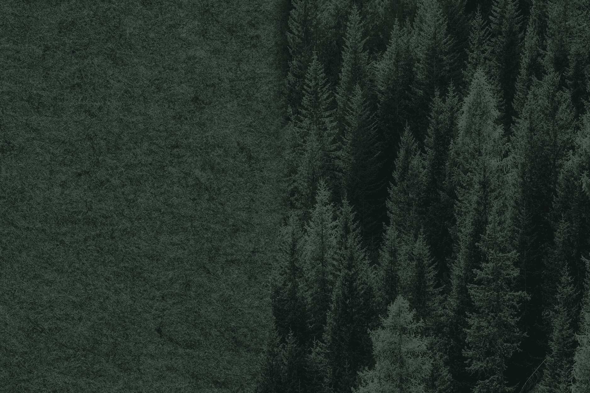 Kleur NL vilt Forest 25