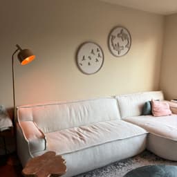 Circle Art flight + Koi 